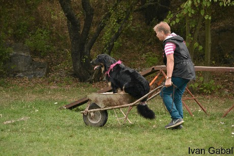 Snímek obrazovky 2023-04-25 v 11.14.14-min